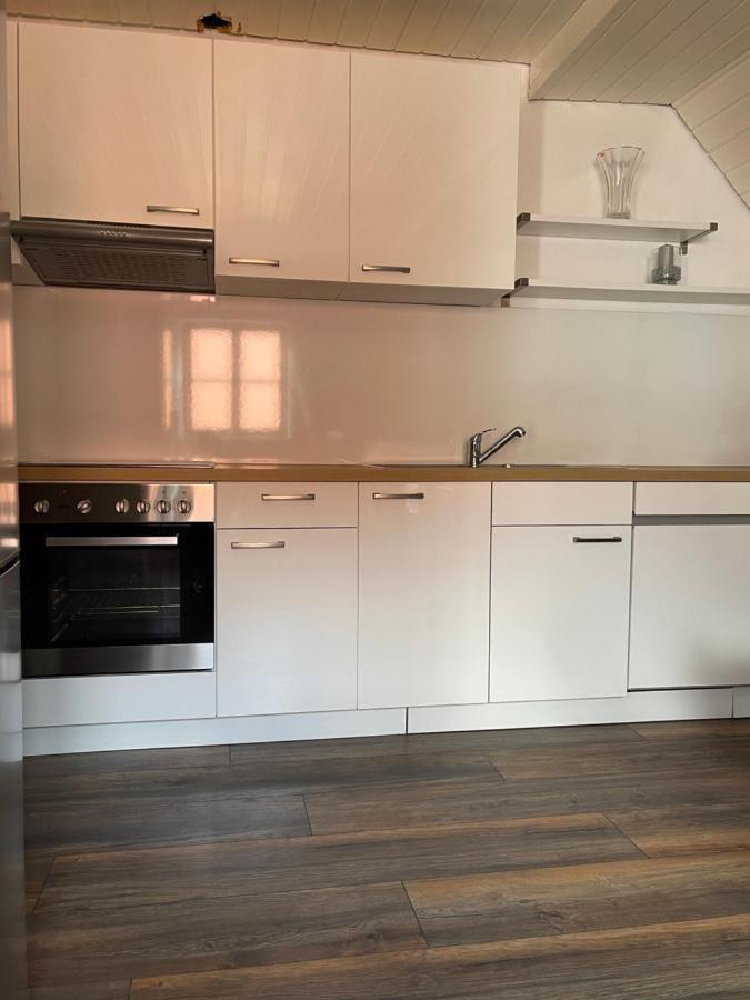 Ferienwohnung Am Schloss Leipheim Naehe Legoland 外观 照片